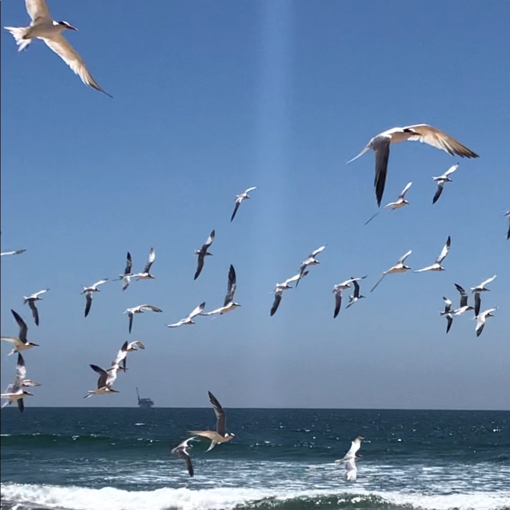 Welcome - Picture 2 of 14